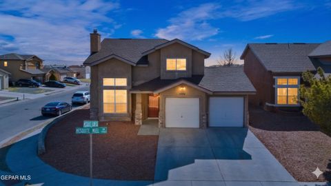 11984 MESQUITE MIEL Drive El Paso TX 79934