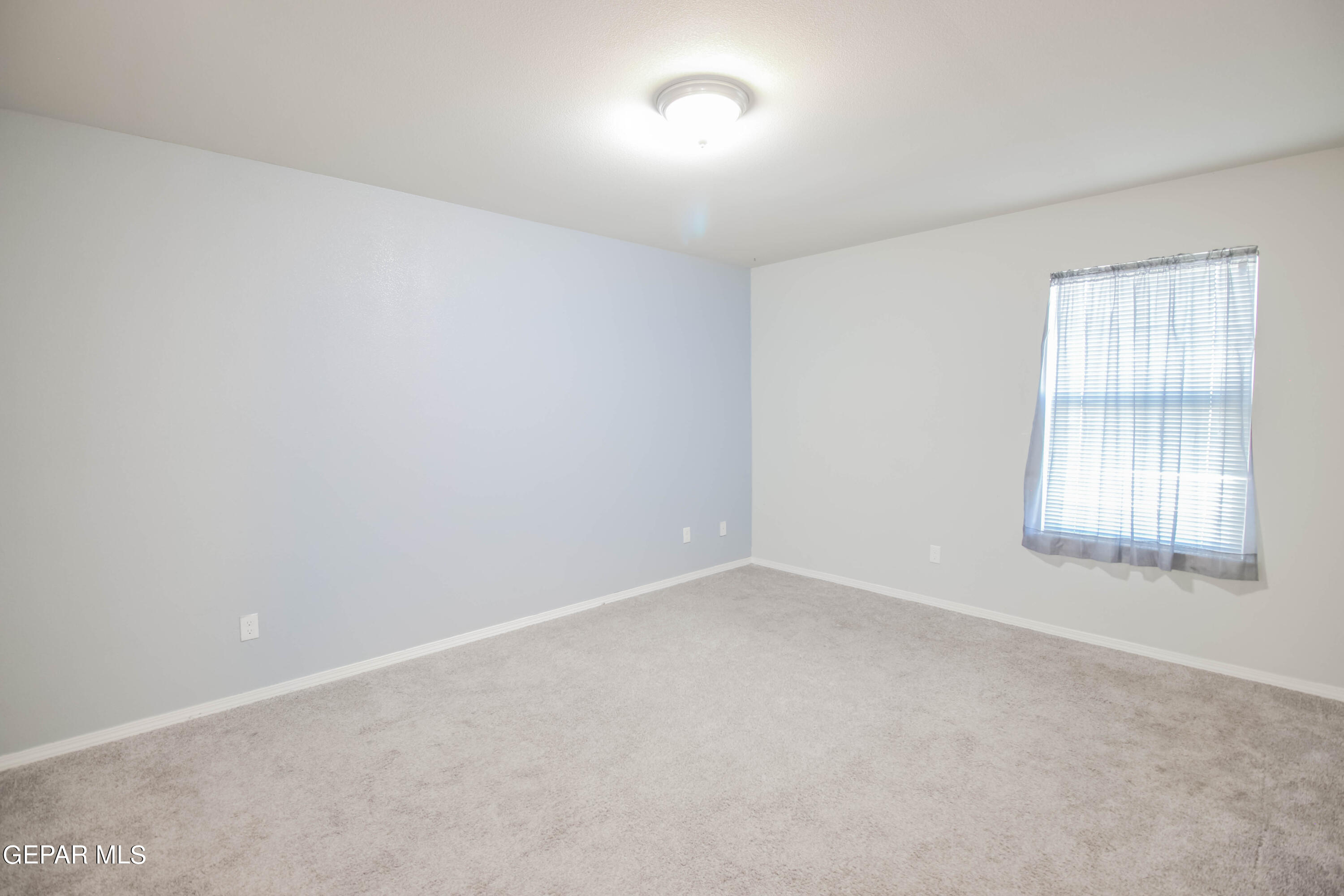 14693 Friesian Trail