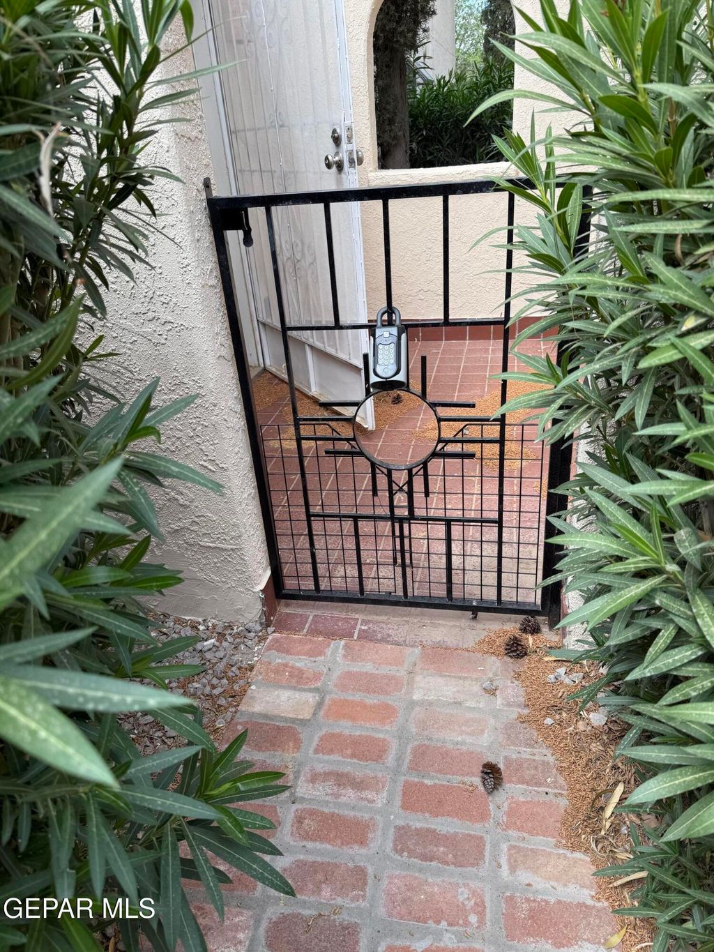 Photo of 136 FEATHER MOON Drive, Santa Teresa, NM 88008 (MLS # 942819)