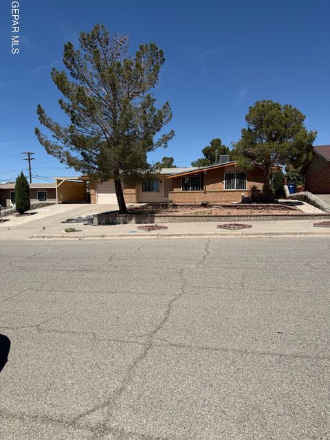 10449 CHINABERRY Drive El Paso TX 79925