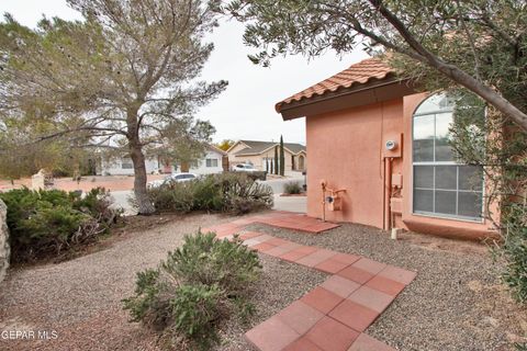 A home in Santa Teresa