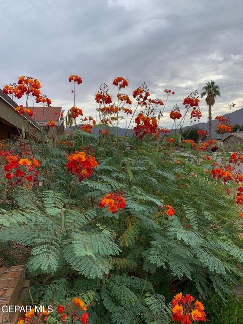 A home in El Paso