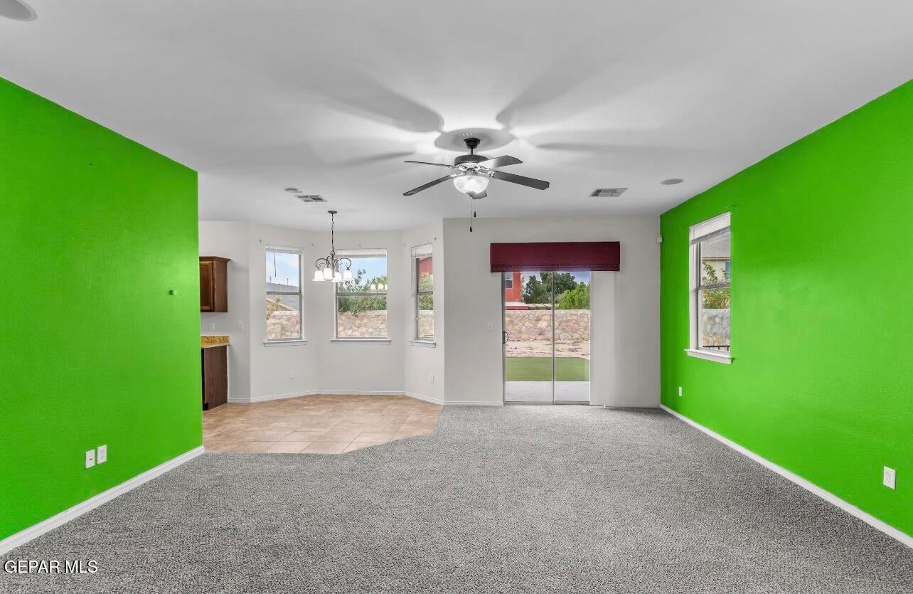 5024 STAMPEDE Drive