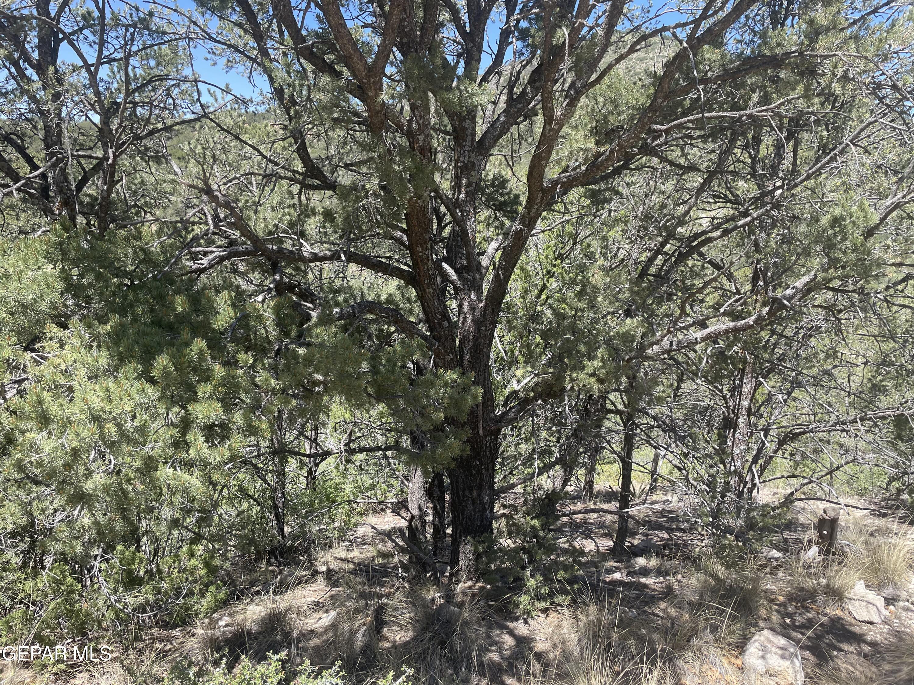 60 Canyon Road