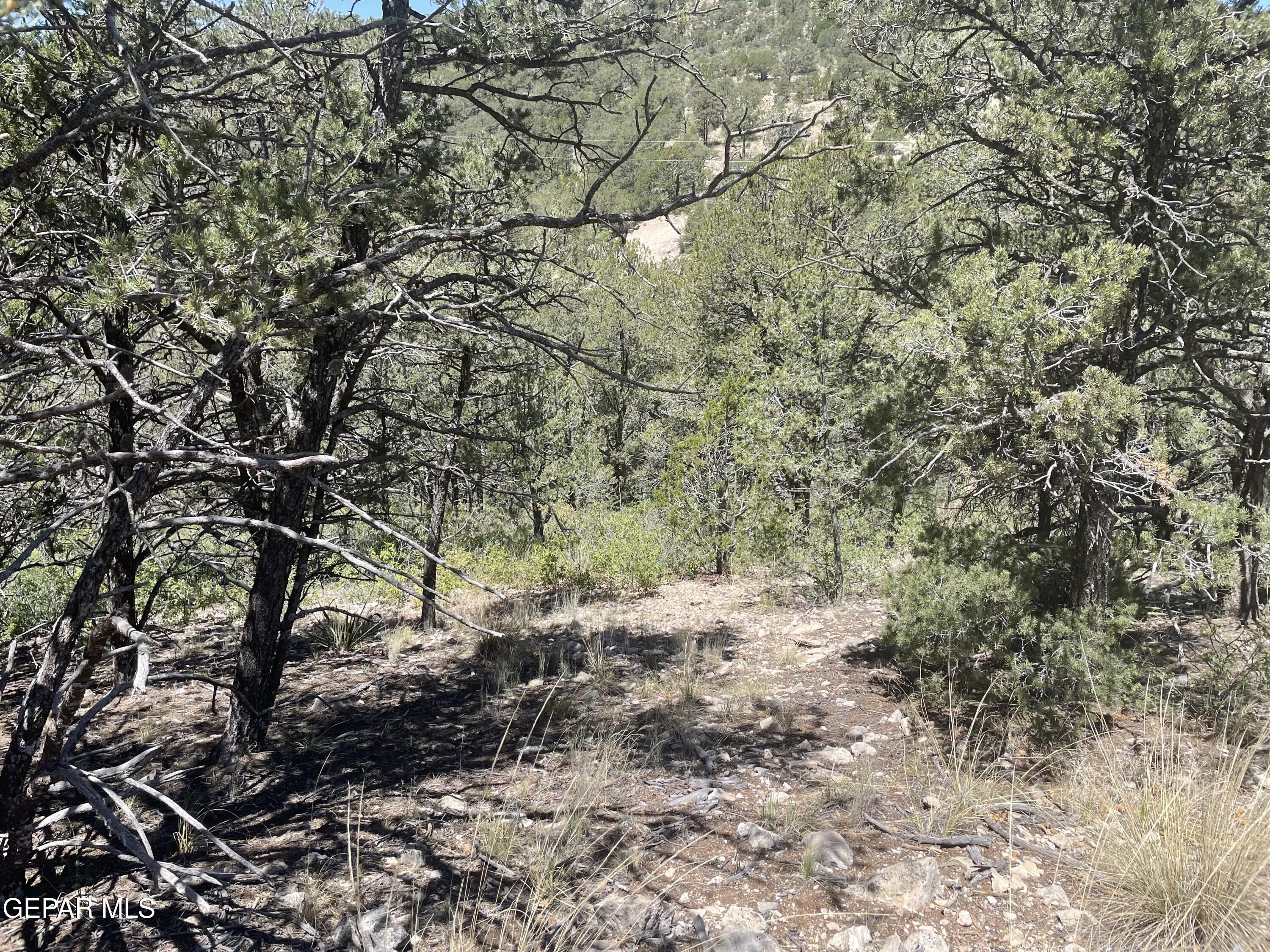 60 Canyon Road