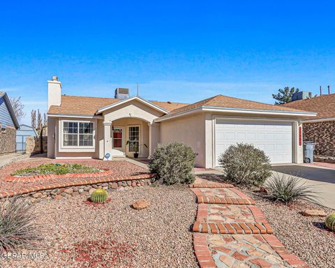 12001 DAVID FORTI Drive El Paso TX 79936