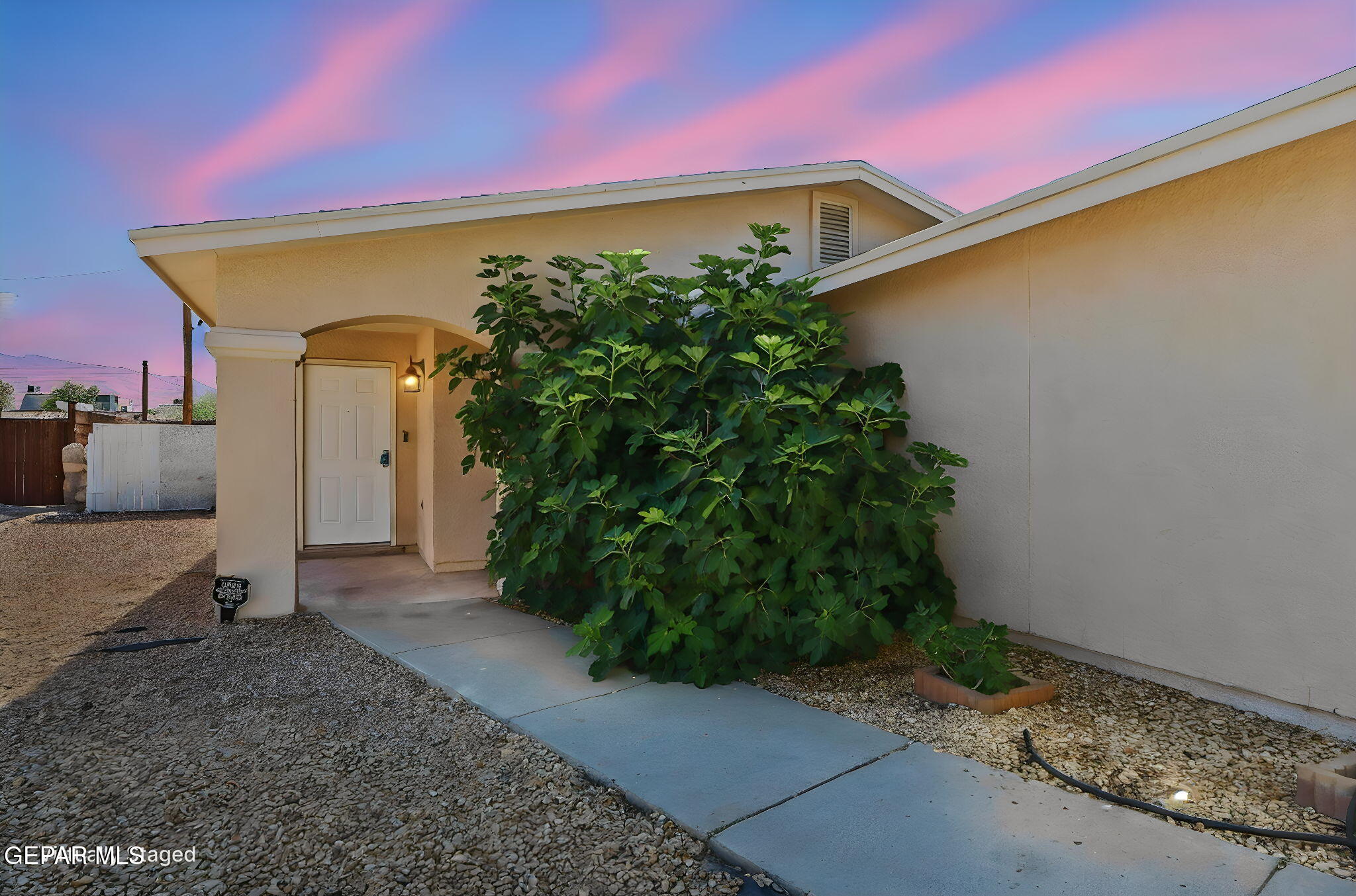 7017 PANDORA Street
