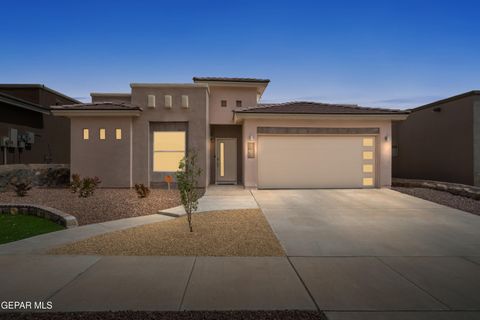 236 S MANZANITA Drive El Paso TX 79928