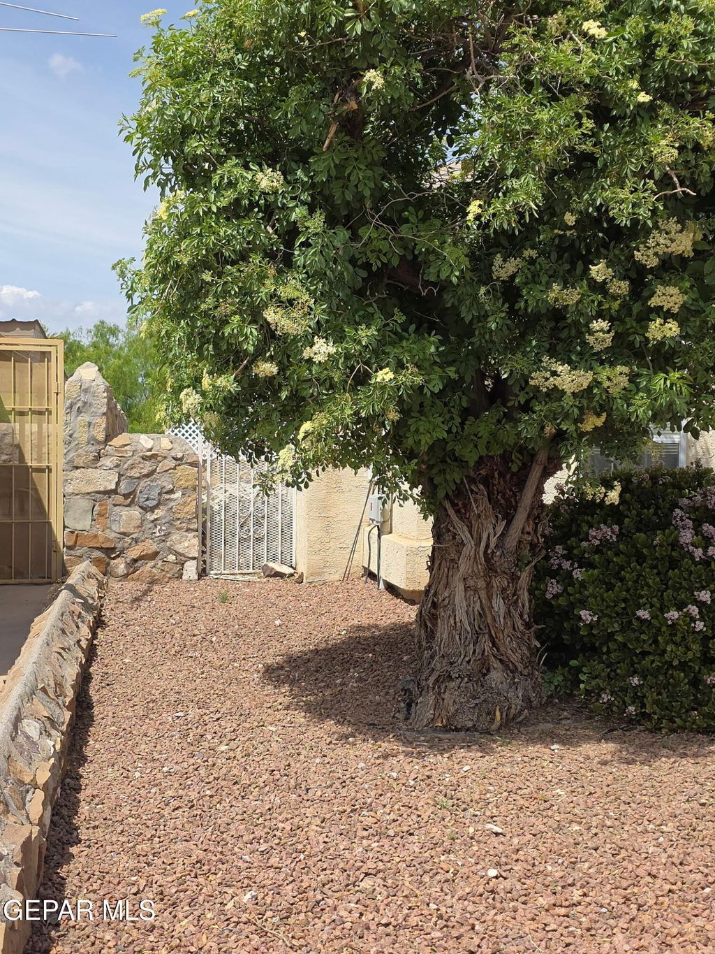 Photo of 7457 PLAZA TAURINA Drive, El Paso, TX 79912 (MLS # 943552)