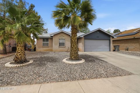 1767 PAINTED QUAIL Place El Paso TX 79936