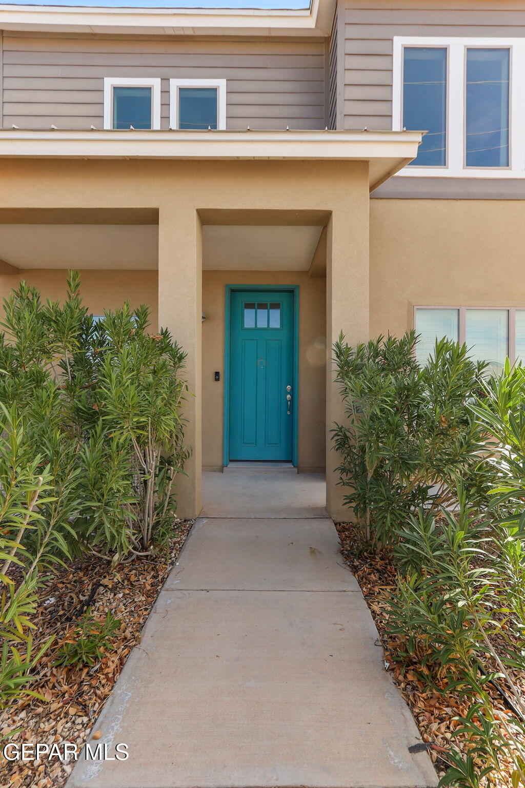 2020 TIM FOSTER Street