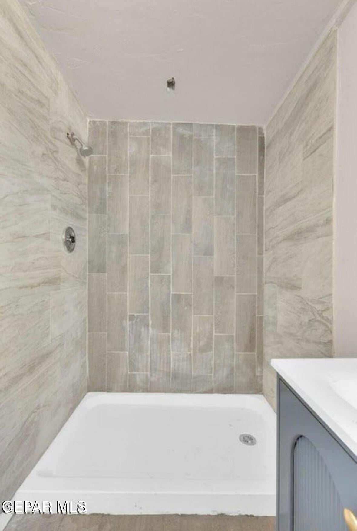 8827 MOUNT ELBERT Drive 3