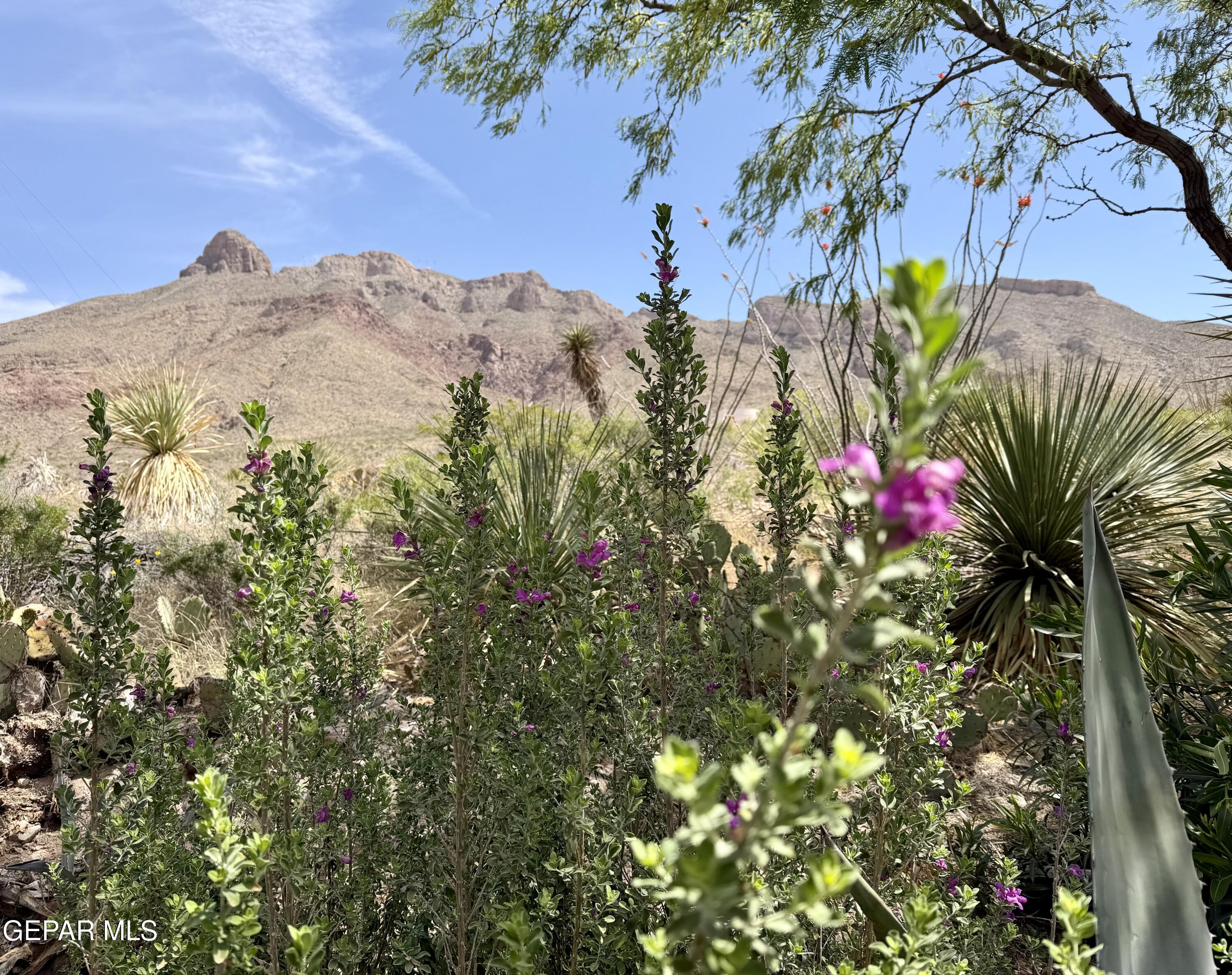 5733 MIRA GRANDE Drive