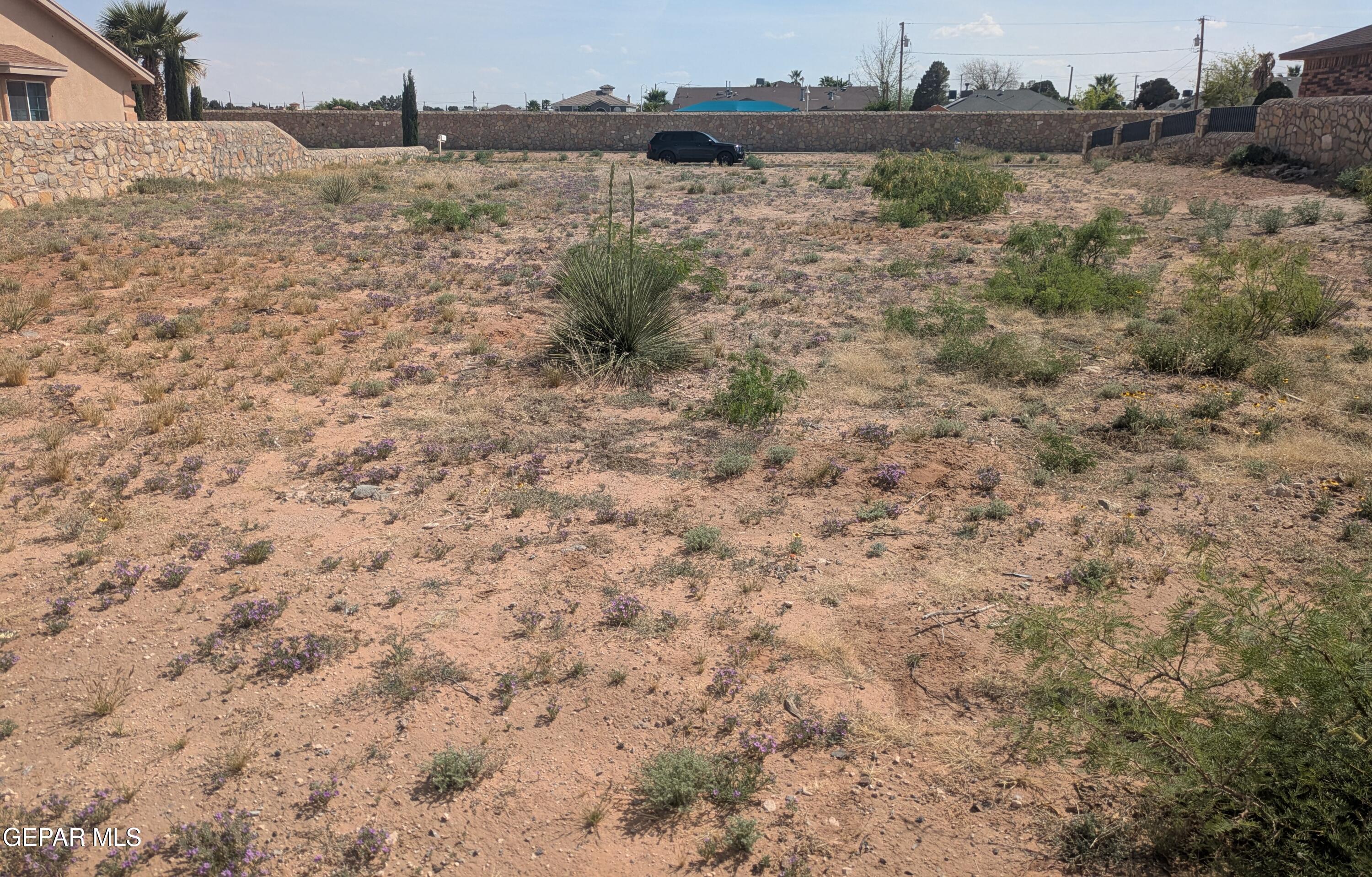 11333 Lindenwood Avenue