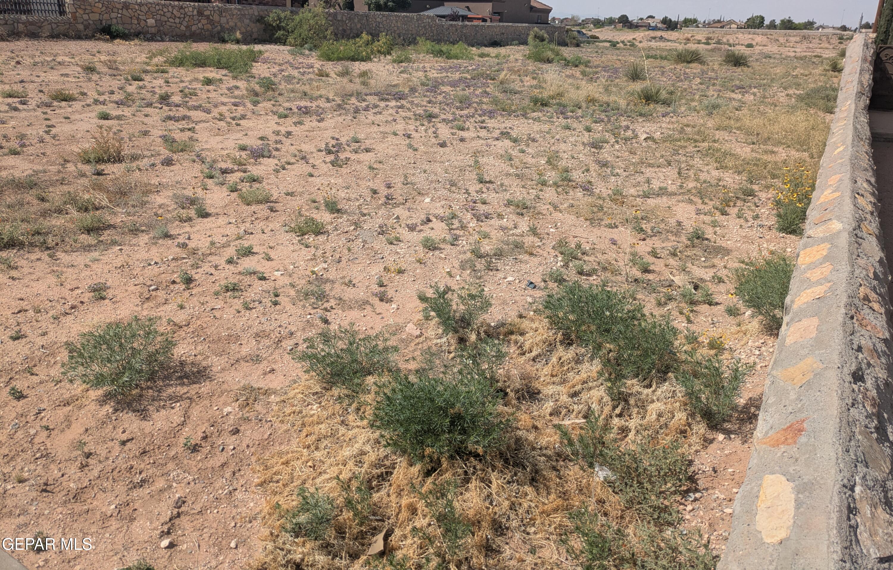 11333 Lindenwood Avenue