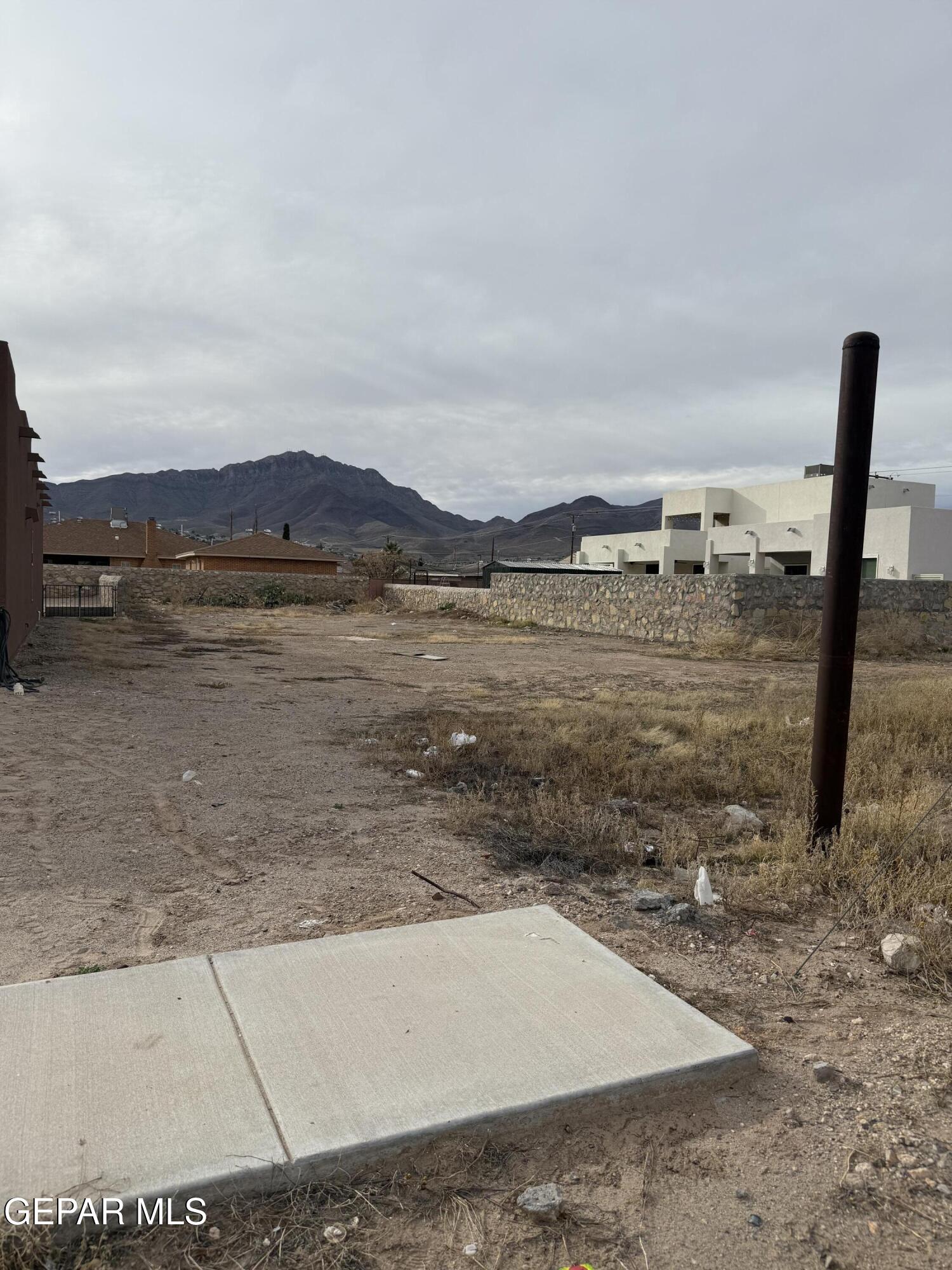 8009 MITZIE RAM Place