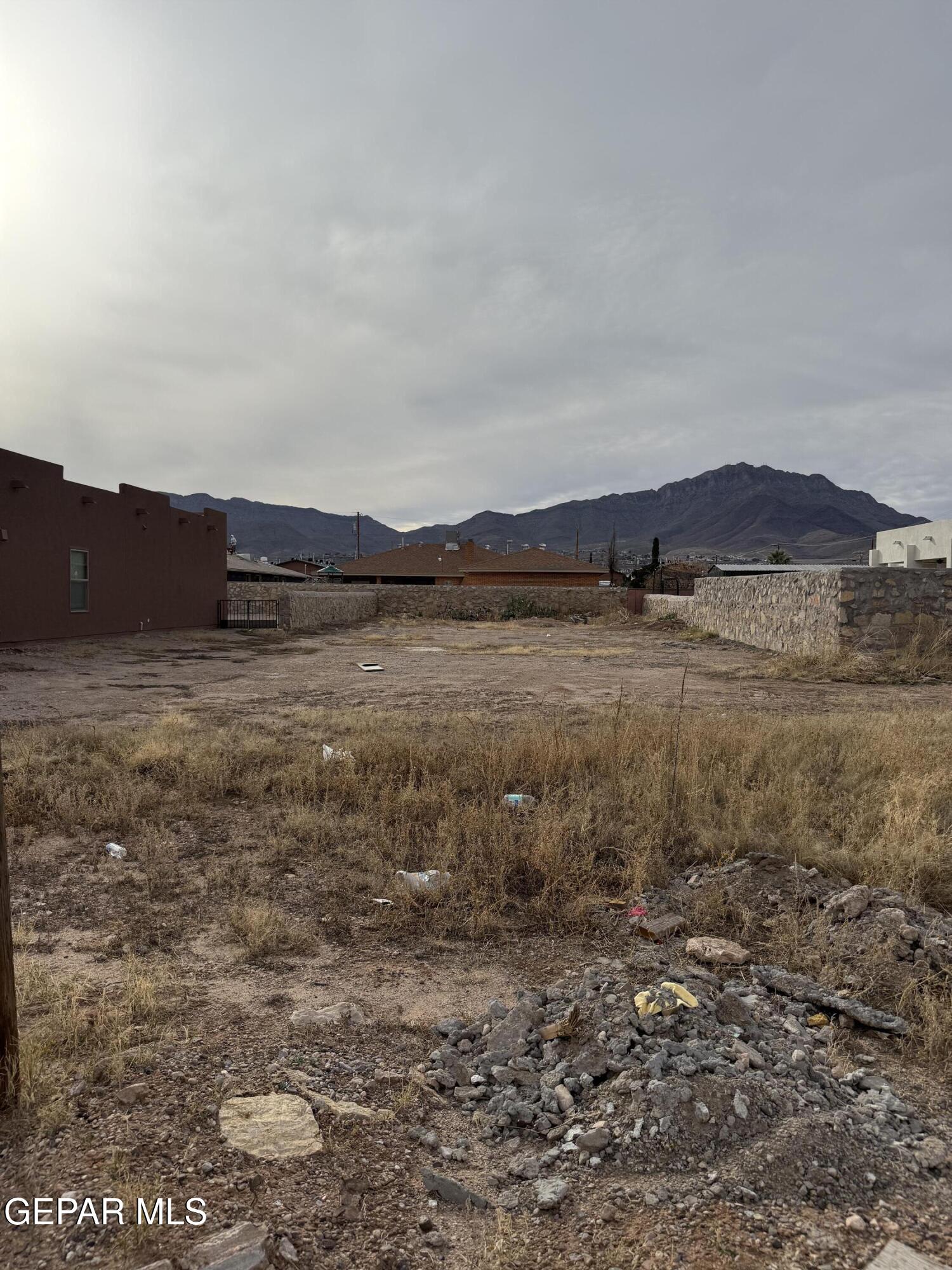 8009 MITZIE RAM Place