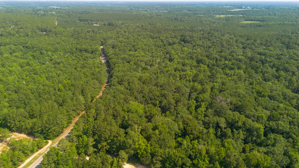 0 N Hwy 188 - Photo 4