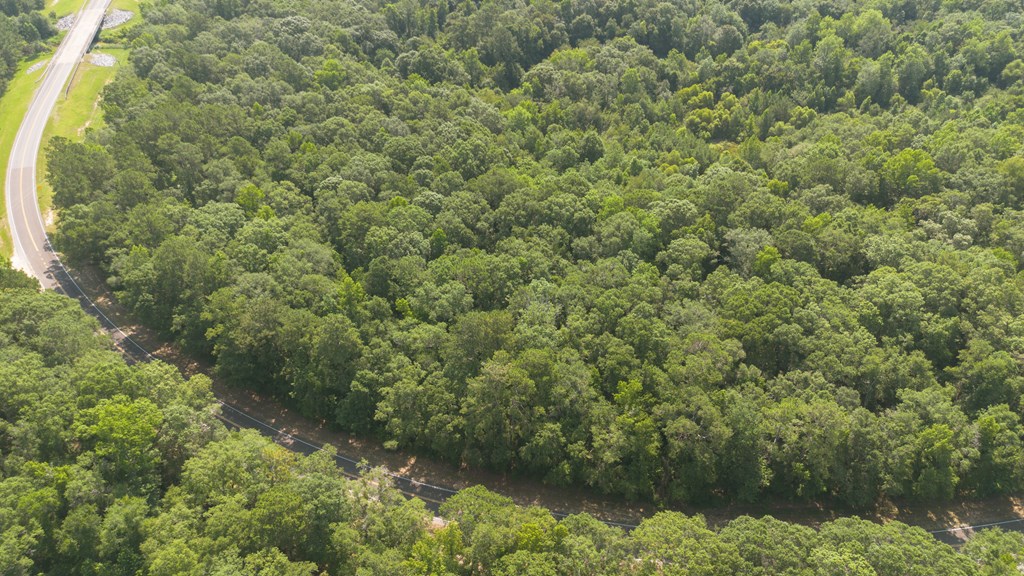 0 N Hwy 188 - Photo 3