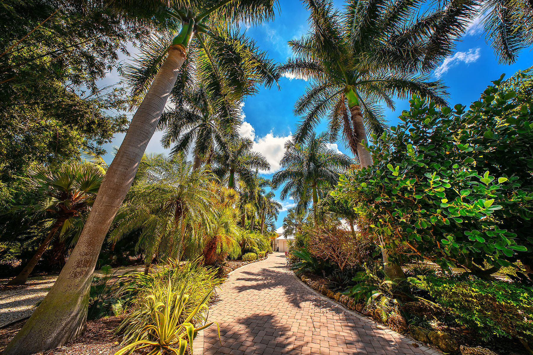 Summerland, Florida 33042, United States, 5 Bedrooms Bedrooms, ,5 BathroomsBathrooms,Residential,Active,42620