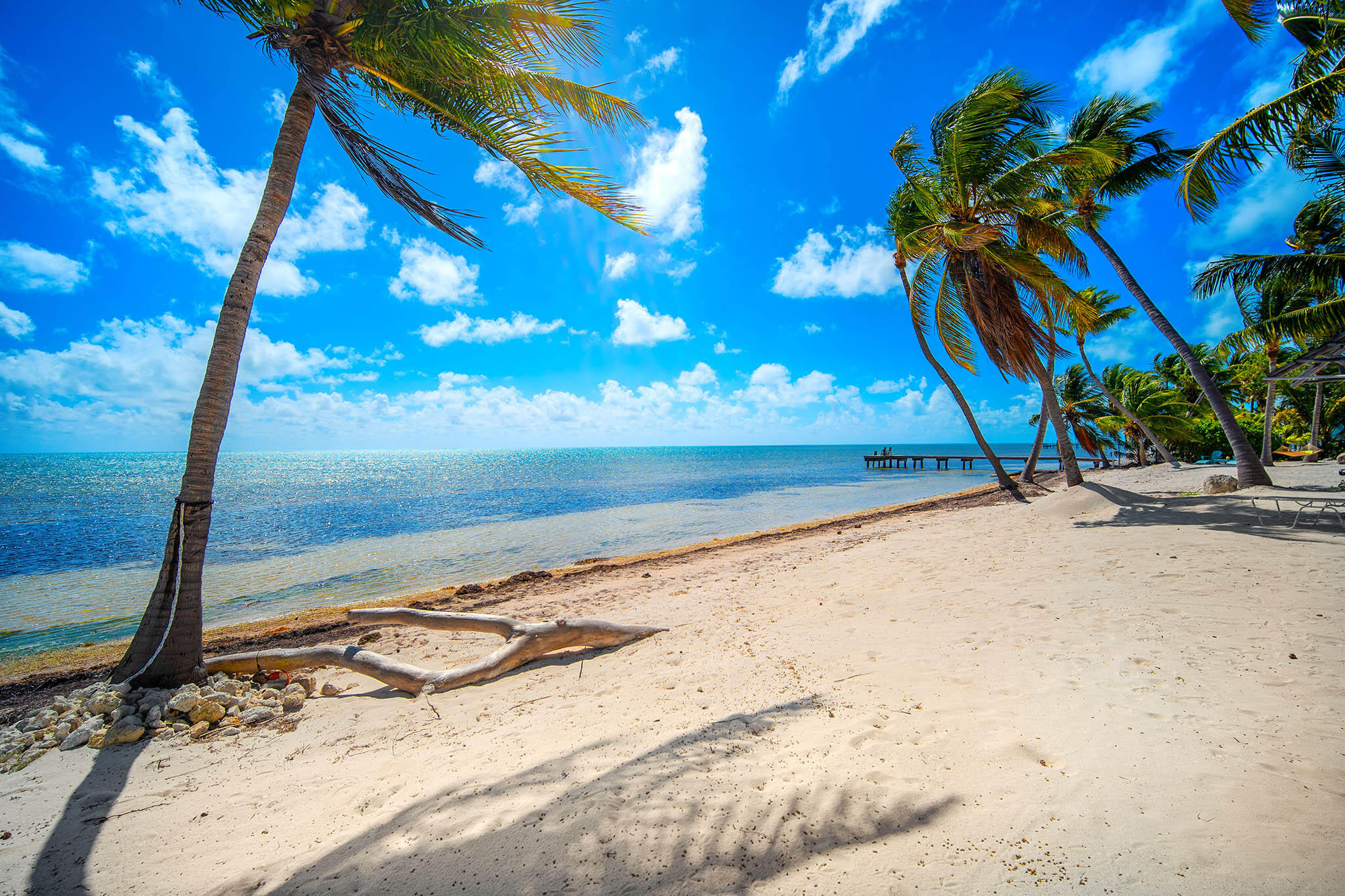 Long Key, Florida 33001, United States, 7 Bedrooms Bedrooms, ,6 BathroomsBathrooms,Residential,Active,1992