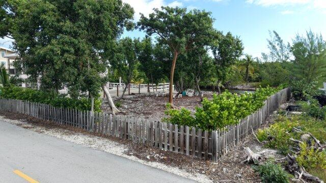 Spanish Channel Drive