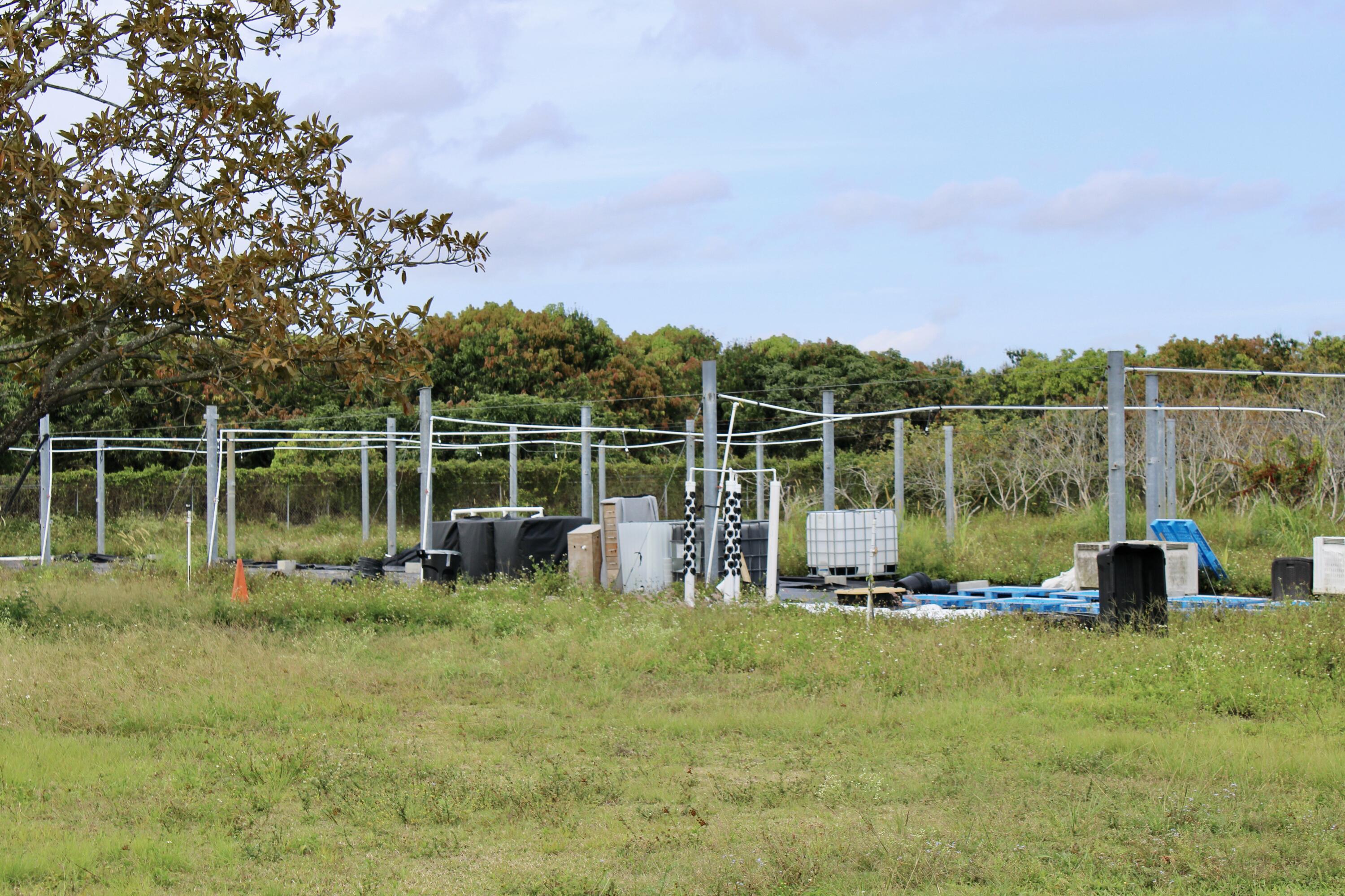 Other, Florida 33187, United States, ,Land,Active,110369