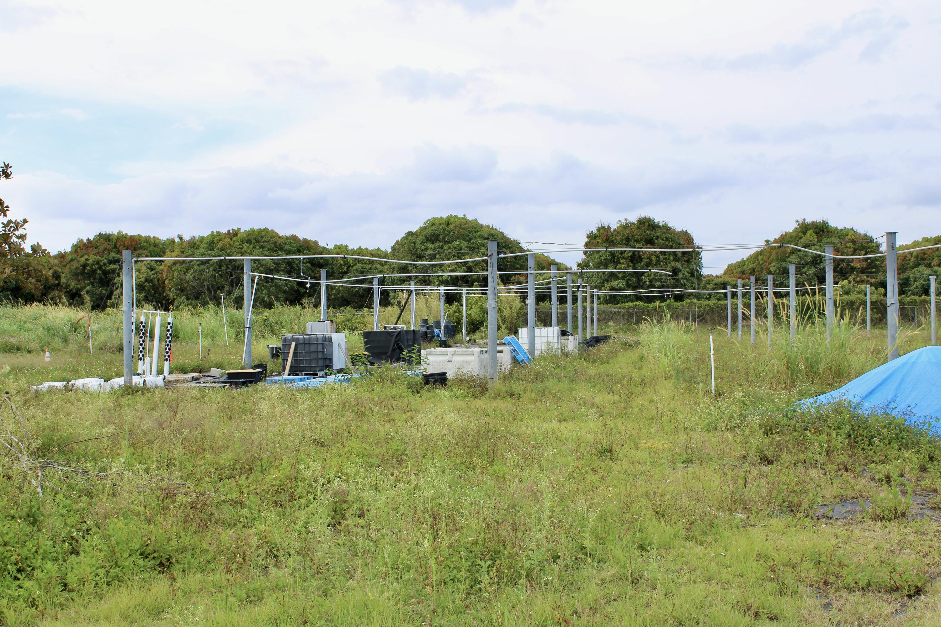 Other, Florida 33187, United States, ,Land,Active,110369