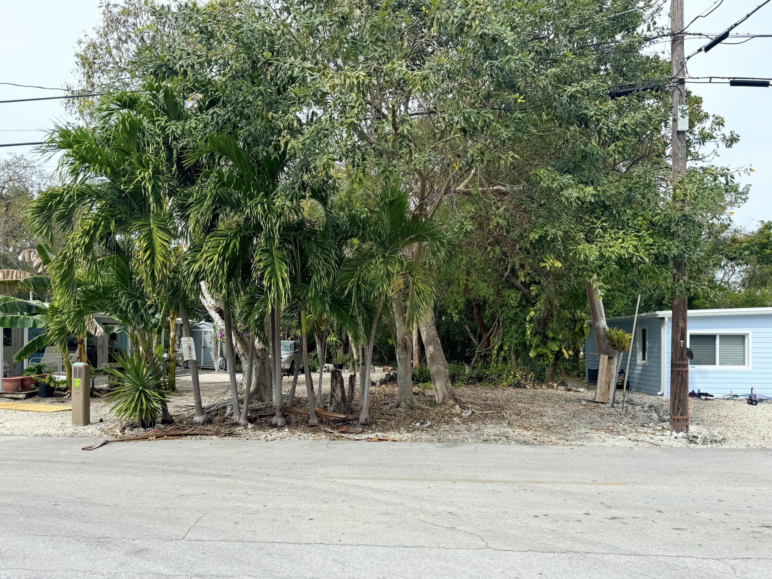 Key Largo, Florida 33037, United States, ,Land,Active,79164