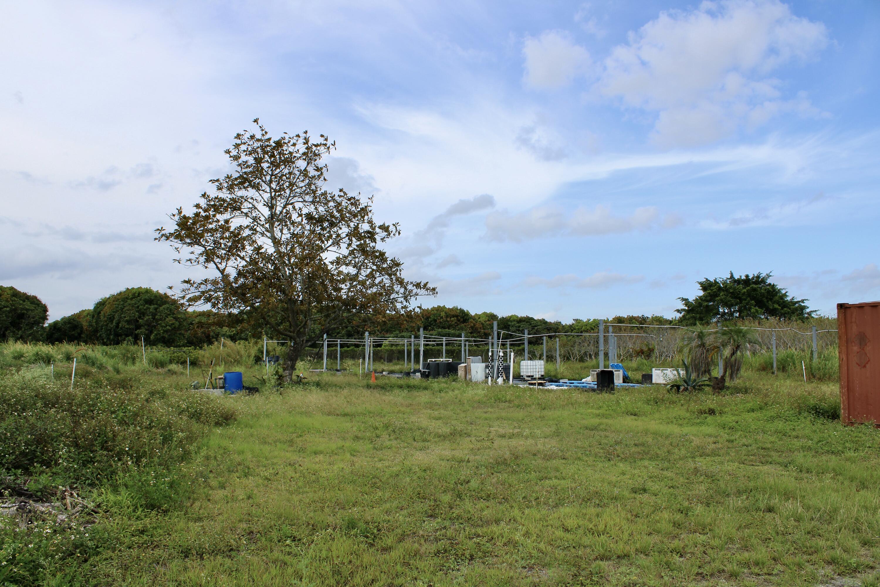 Homestead, Florida 33187, United States, ,Land,Active,61372