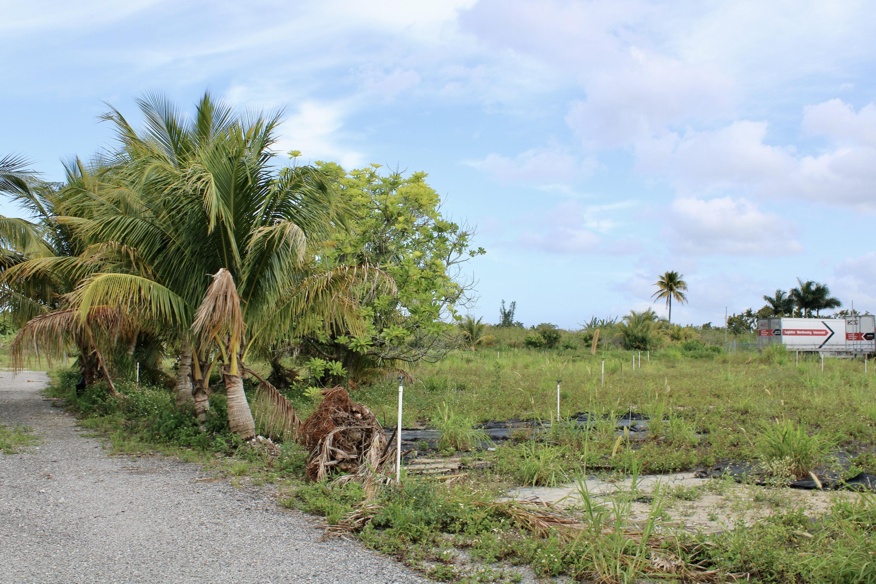 Homestead, Florida 33187, United States, ,Land,Active,61372