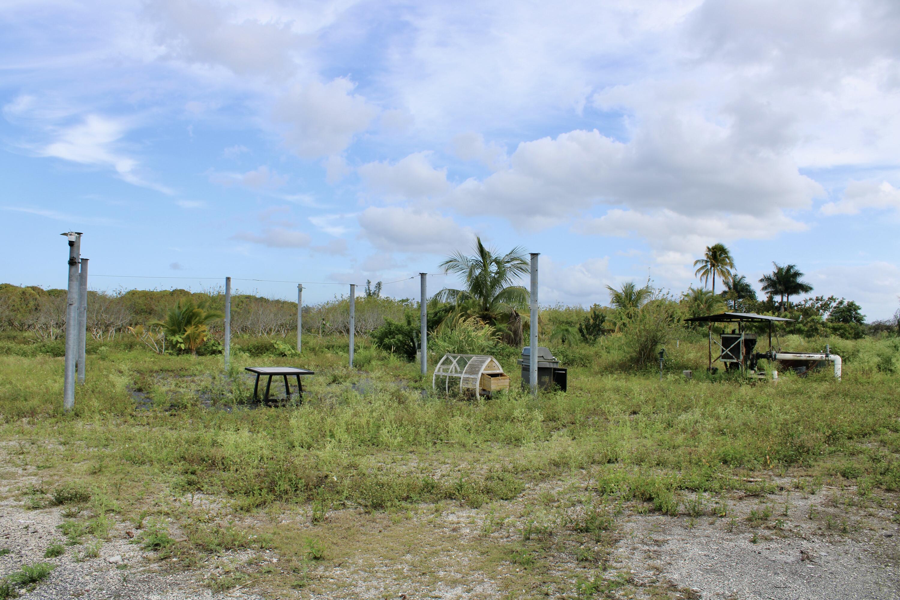 Homestead, Florida 33187, United States, ,Land,Active,61372
