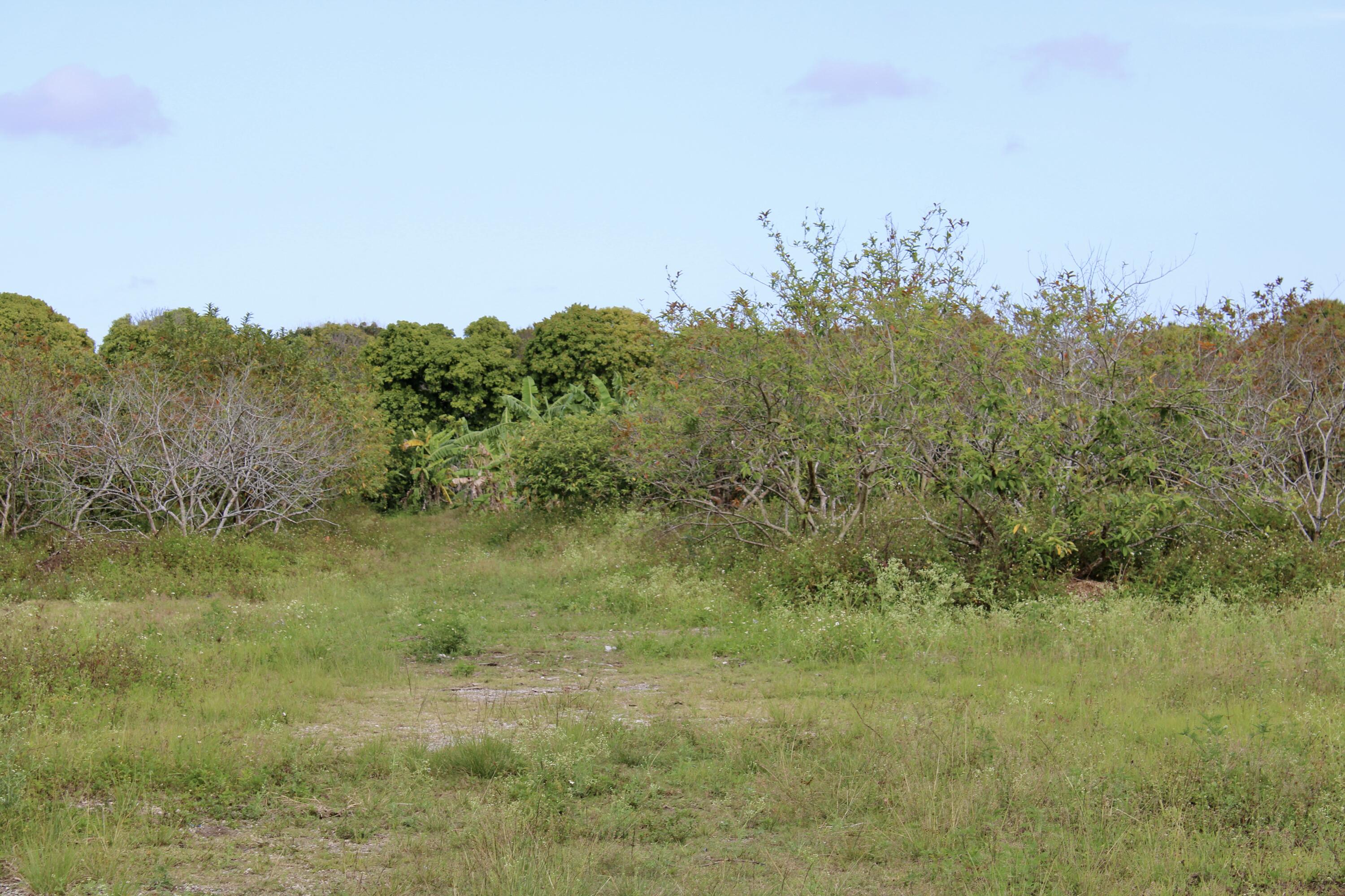 Homestead, Florida 33187, United States, ,Land,Active,61372