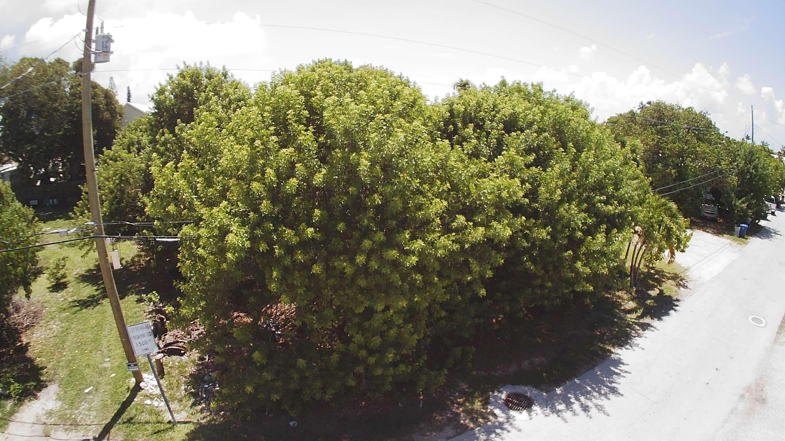 Marathon, Florida 33050, United States, ,Land,Active,3396