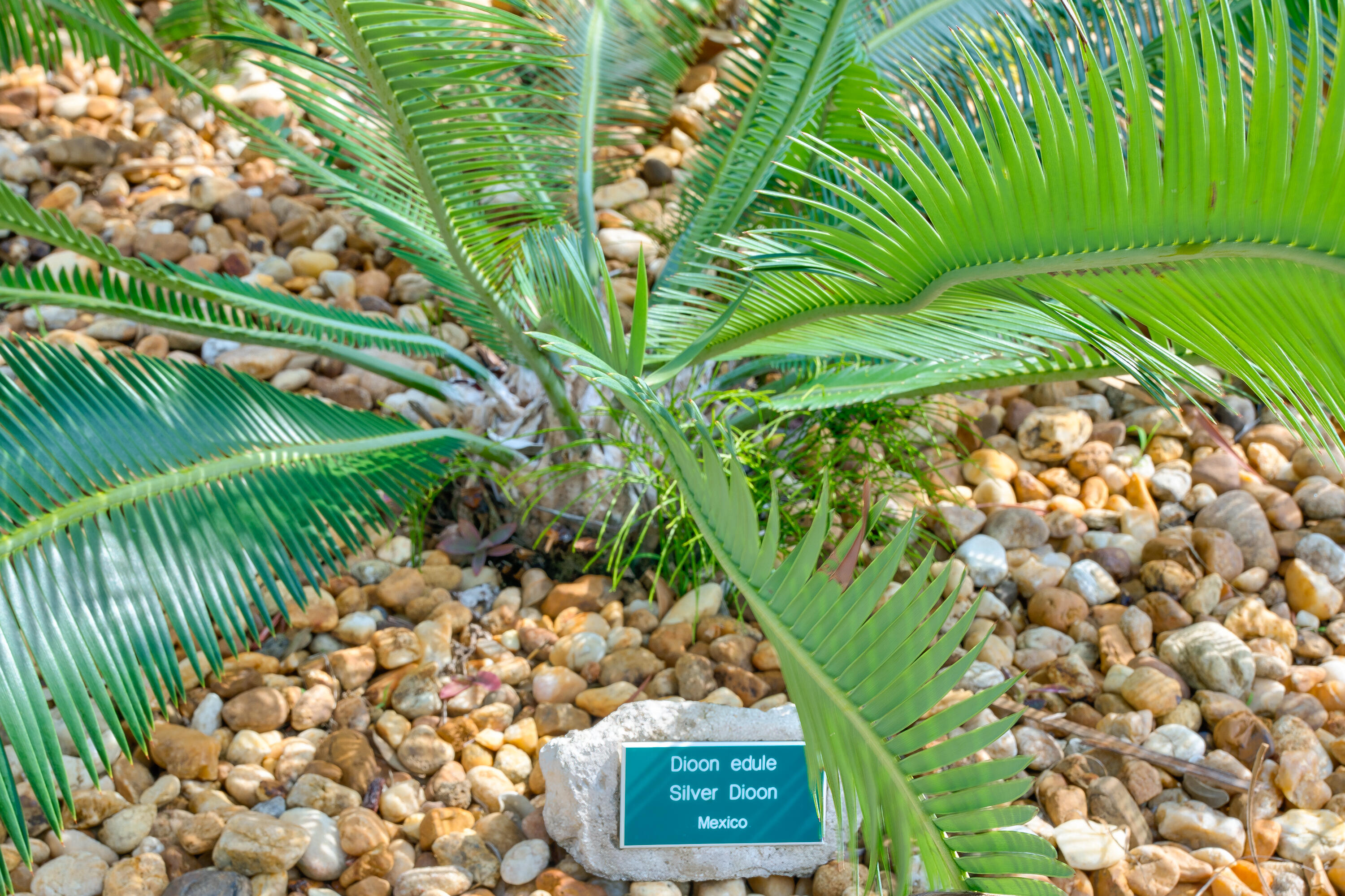 Marathon, Florida 33050, United States, 4 Bedrooms Bedrooms, ,4 BathroomsBathrooms,Residential,Active,41385