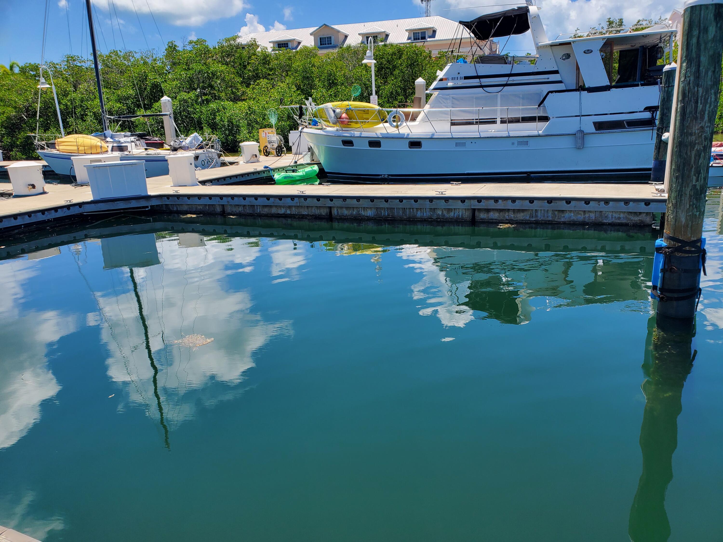 Key West, Florida 33040, United States, ,Land,Active,20290