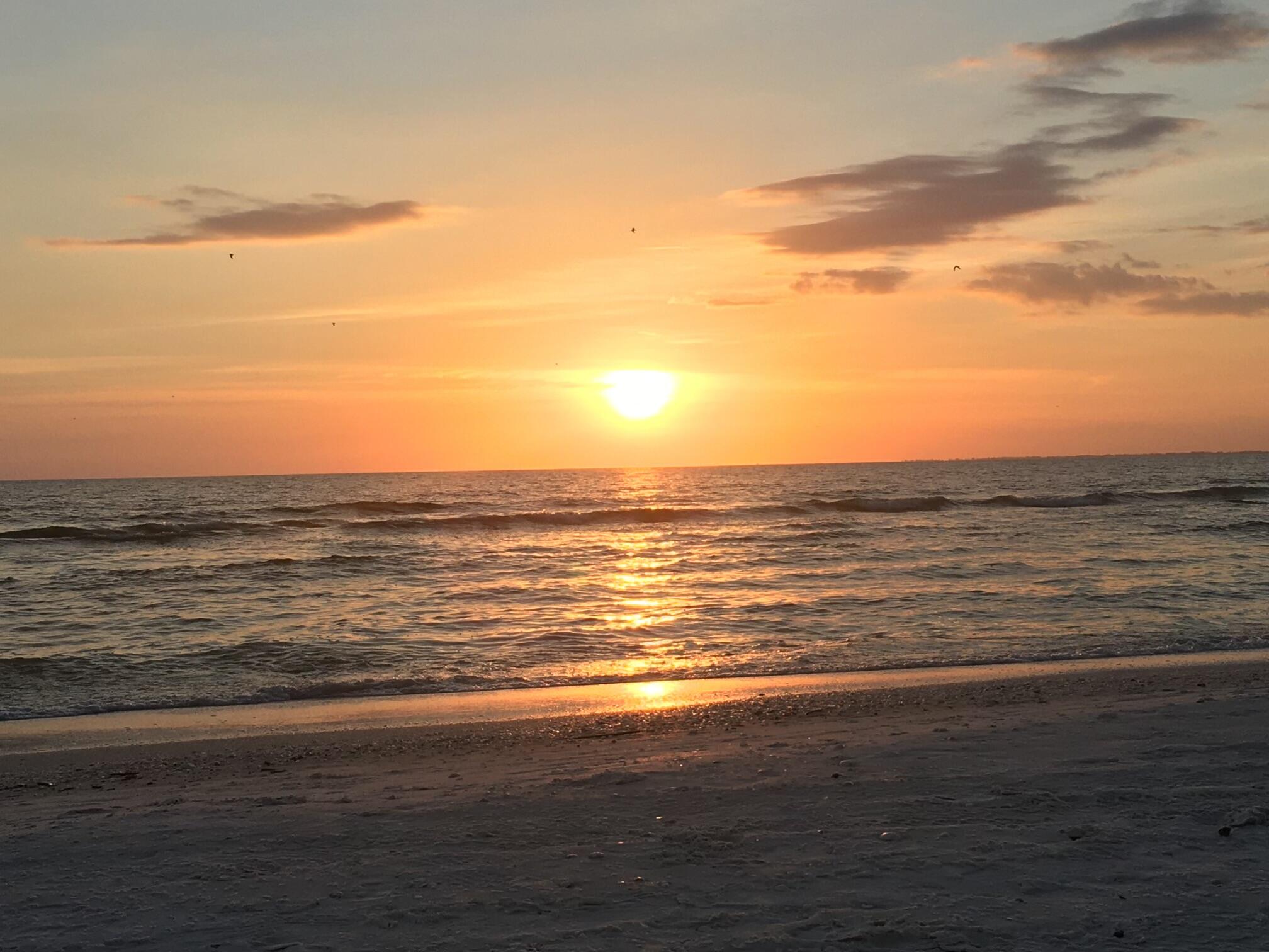 Other, Florida 00000, United States, ,Land,Active,52101