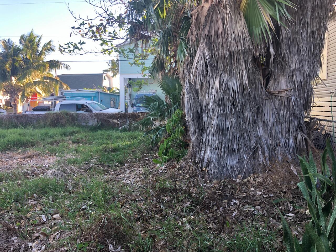 Big Coppitt, Florida 33040, United States, ,Land,Active,25716