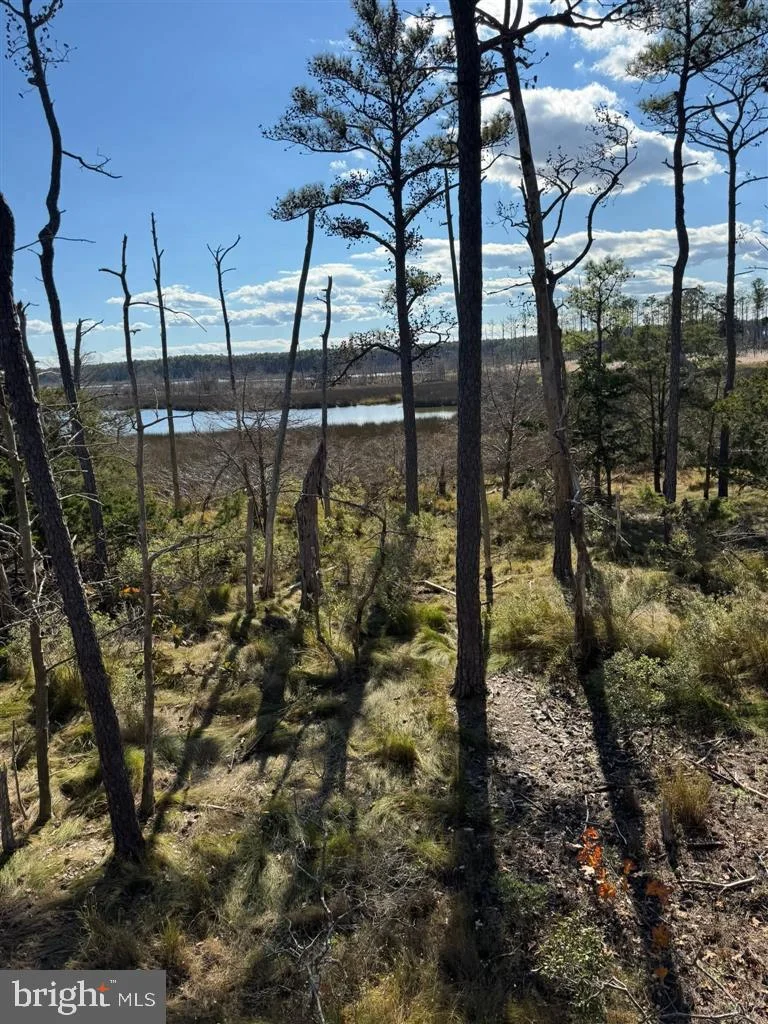 Robinson Neck Road, Taylors Island, MD, 21669