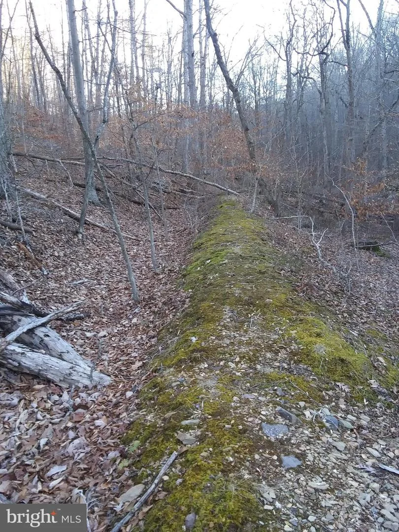 Drummer Hill Road