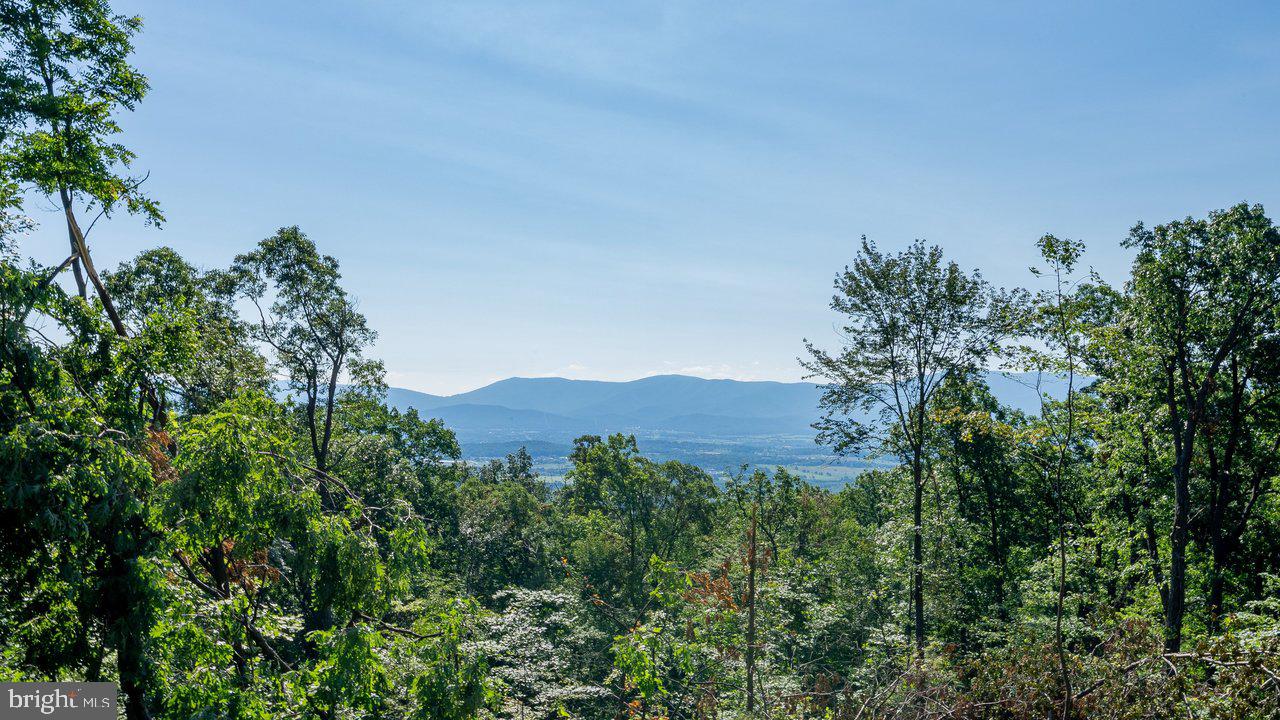 531 Forest Drive Extension, Luray, VA, 22835
