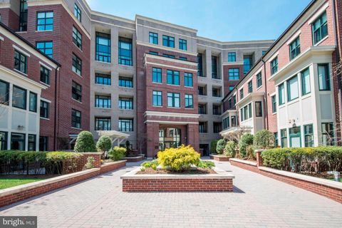 4750 41st St NW #408 Washington DC 20016