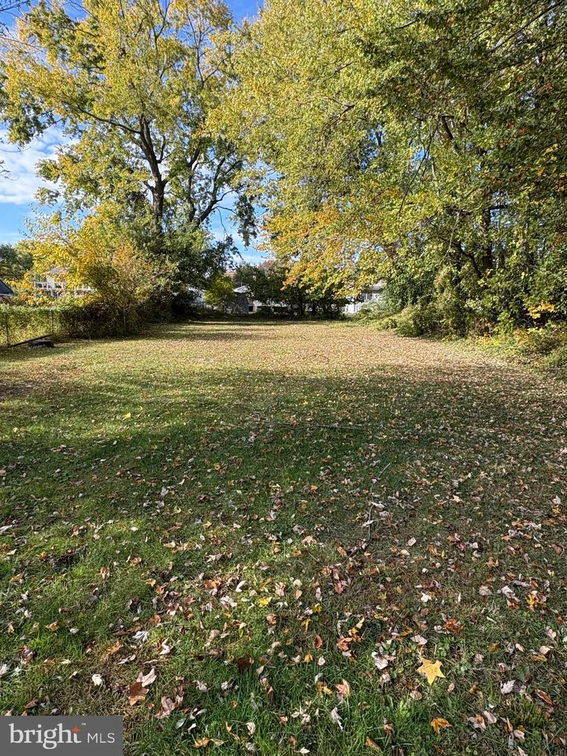 82 Cherry Lane