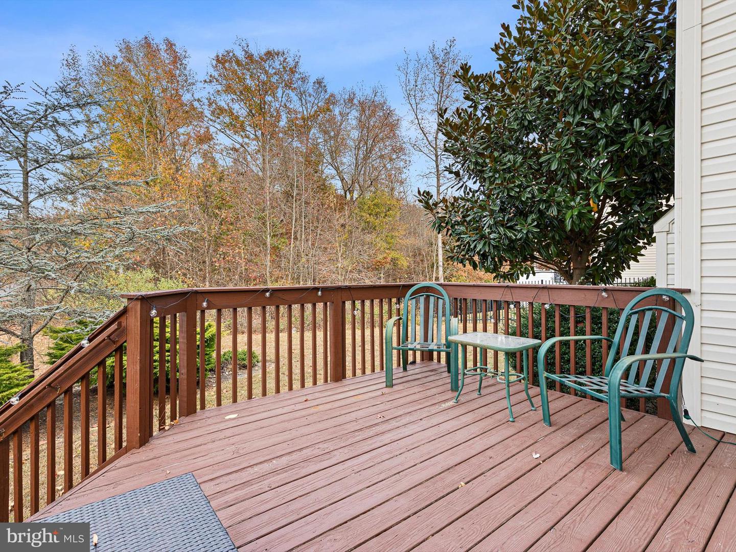 1 Dogwood Court, Bear, Delaware image 39