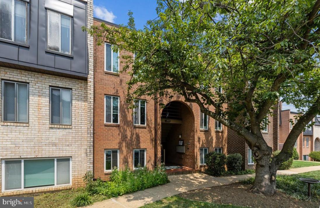 5051 7th Road S Unit 202, Arlington, VA, 22204