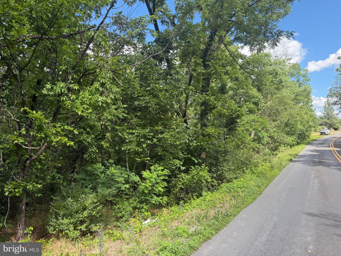Lot 13 Redbud Road, Stephenson, VA, 22656