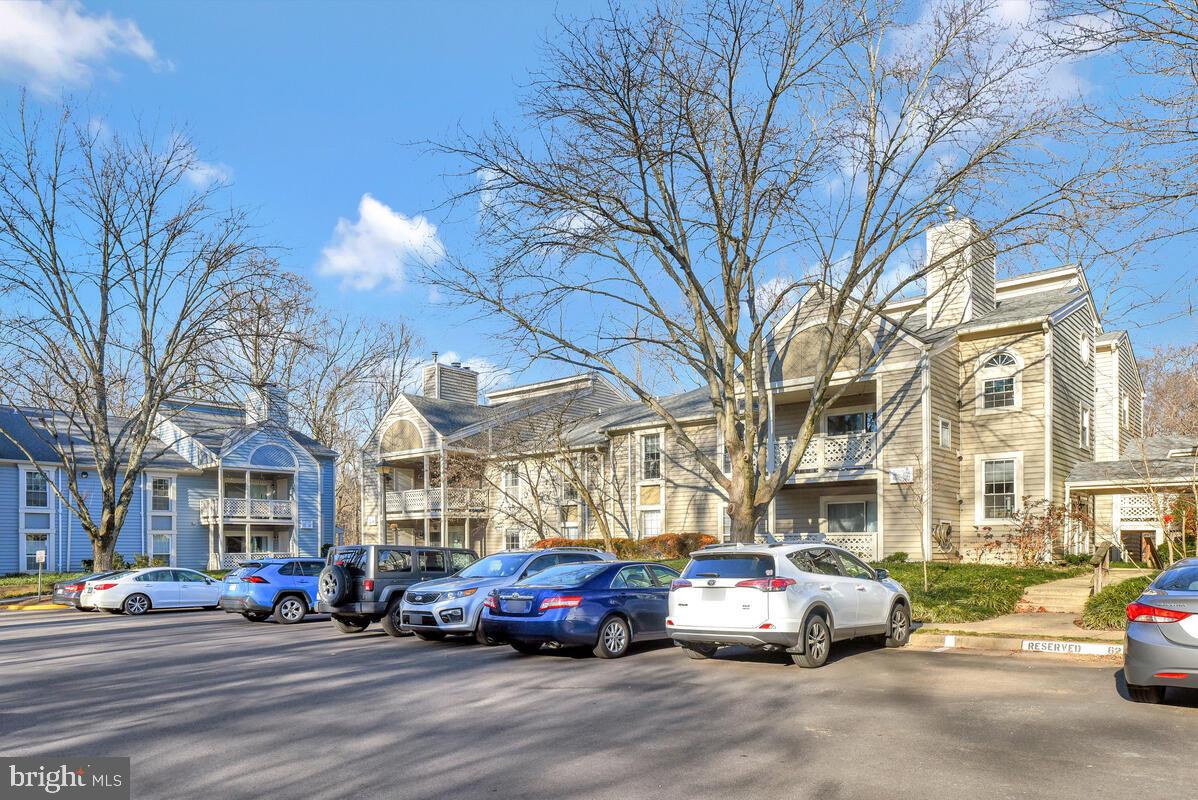 7804 Willow Point Drive #7804, Falls Church, Virginia image 27