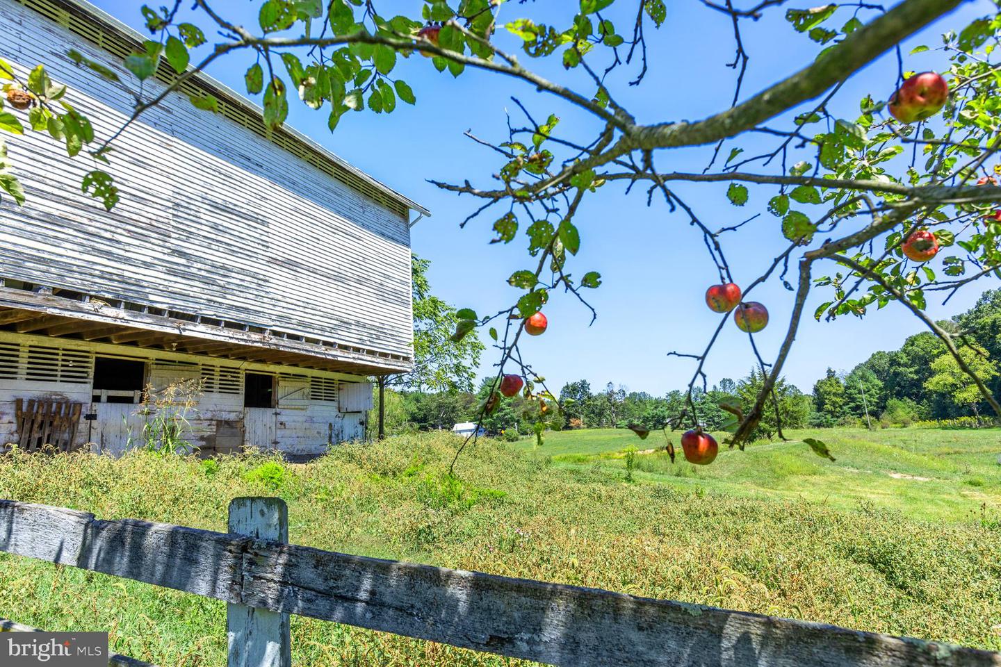 10014 Senedo Road, Mount Jackson, Virginia image 6