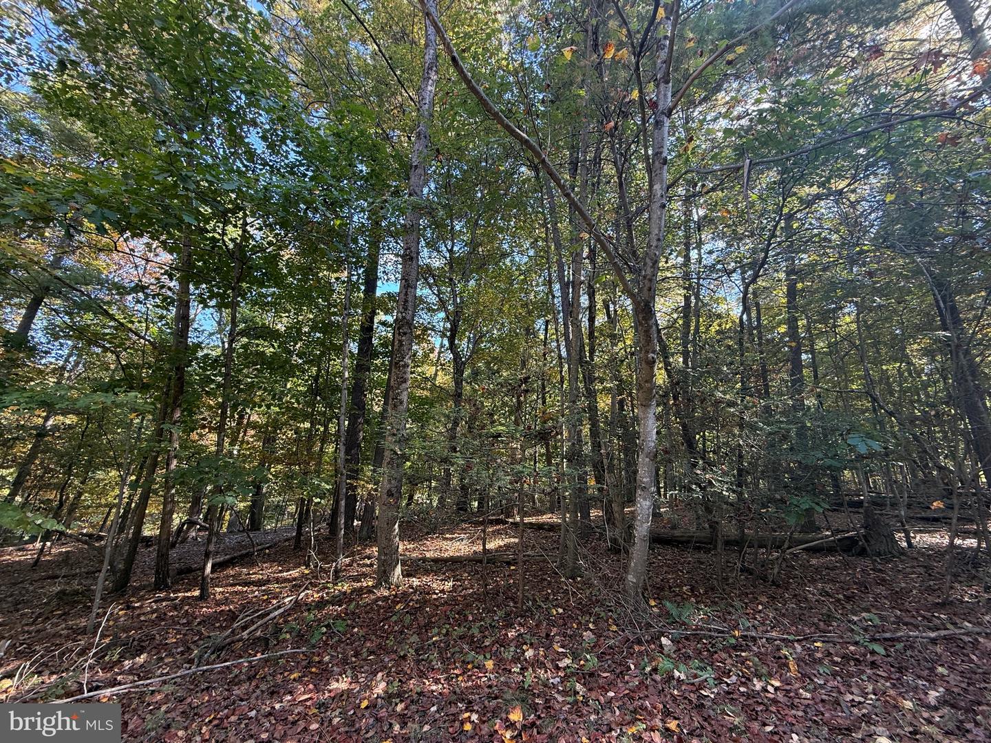 102 Southwood Dr, Cross Junction, VA, 22625