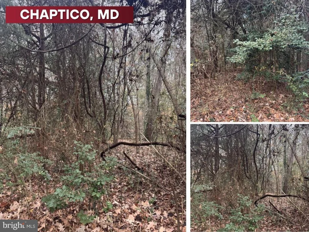 Mill Point Road, Chaptico, MD, 20621
